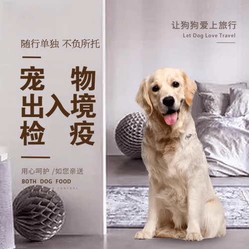 南阳市宠物托运到哥伦比亚猫狗宠物入境规定和