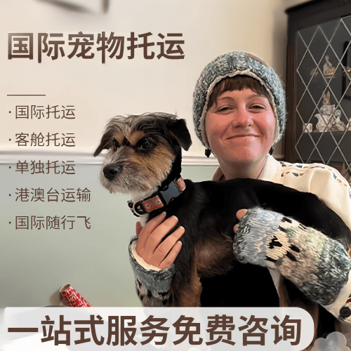 南阳市国际宠物托运到阿根廷宠物入境规定和要