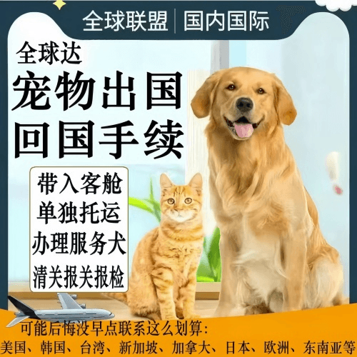 南阳市宠物托运到柬埔寨宠物入境规定和要求